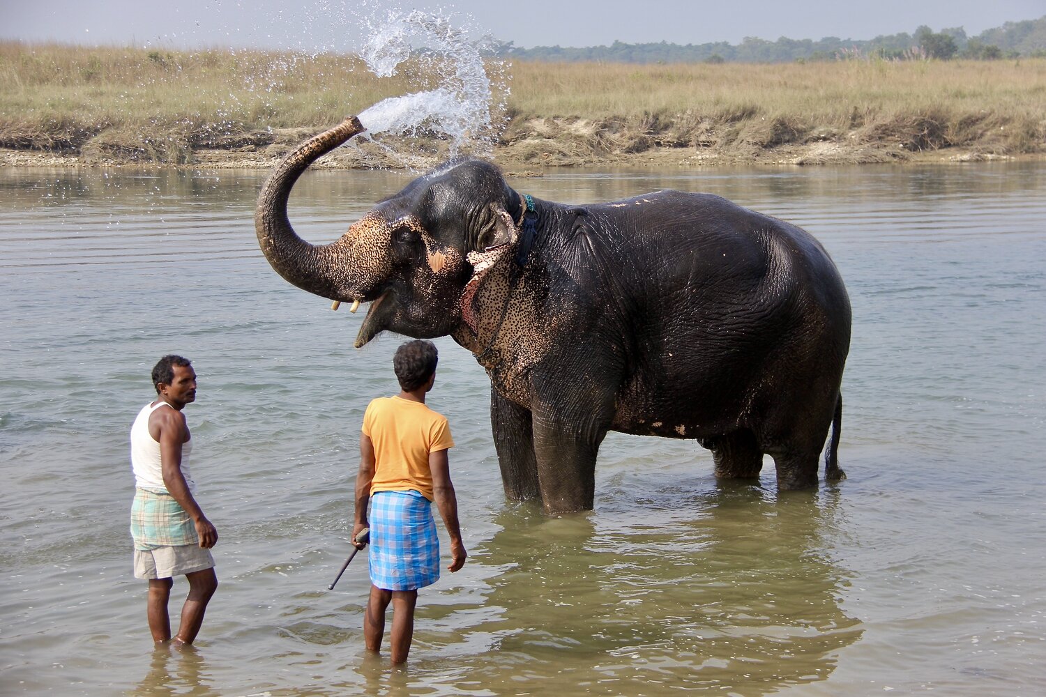 Asian-Style Safari: 2 Nights/3 Days