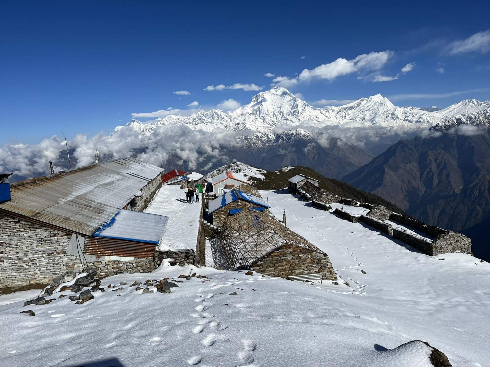 Khopra Ridge (7-8 Days)