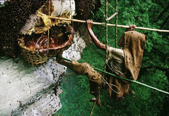 8 days Honey Hunting Trip