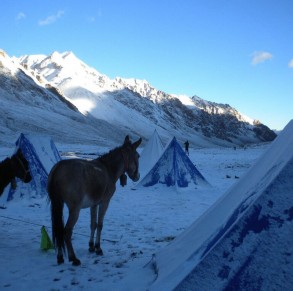 Lamayuru to Stok Kangri Trek (Ladakh)